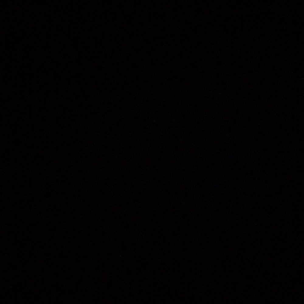 Meet your Posher, Madeline